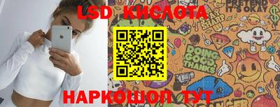 PSILOCYBIN Камышлов