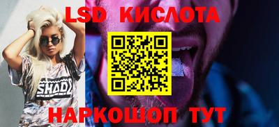 PSILOCYBIN Камышлов