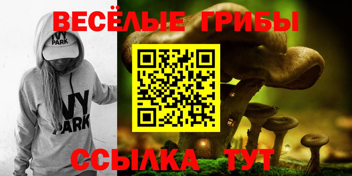 Псилоцибиновые грибы Psilocybine cubensis Кулебаки