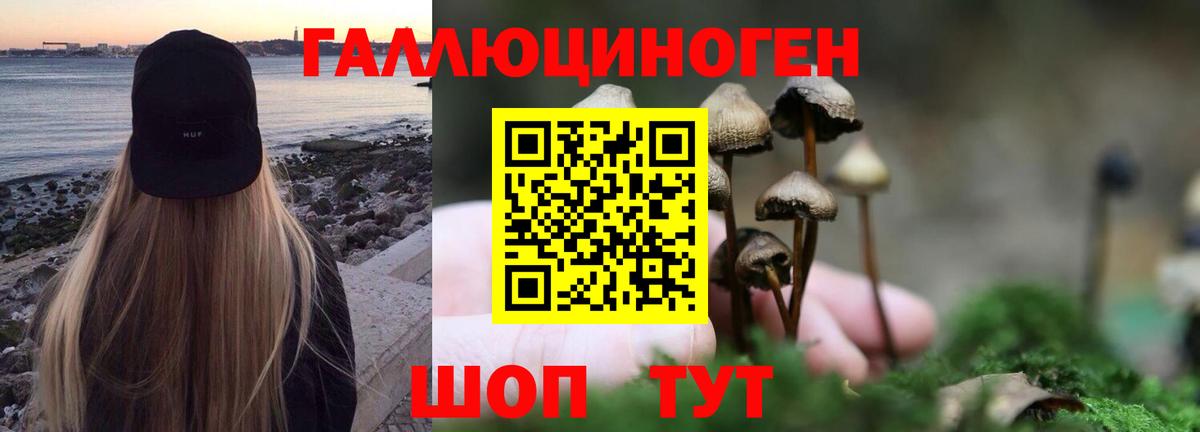 Псилоцибиновые грибы Cubensis  Вход с VPN  Псилоцибиновые грибы Psilocybe  Кулебаки 