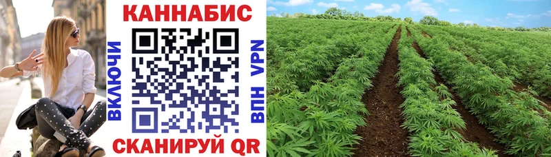 Шишки марихуана план  kraken рабочий сайт  darknet телеграм  Кулебаки 
